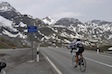 Bernina